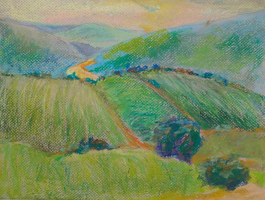Morning on the Douro Valley